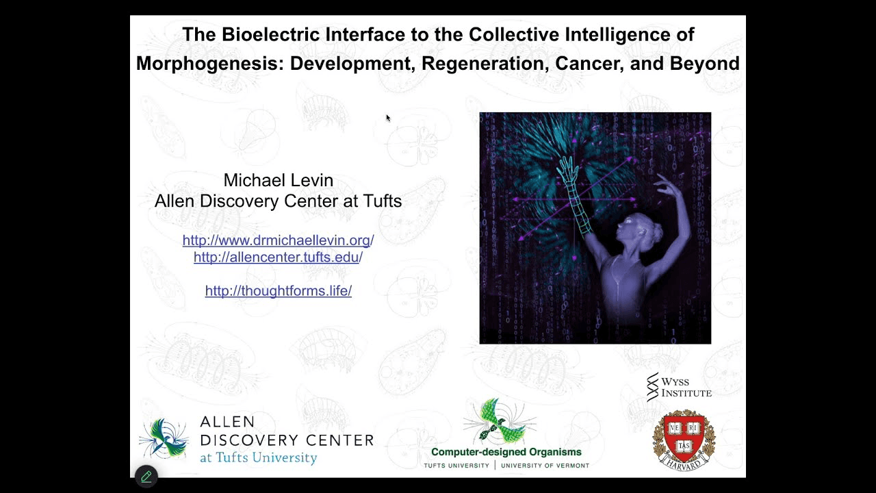 Prof. Michael Levin before